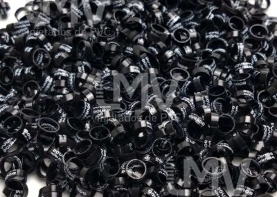 Palheiros Dourado – Anilha Preta