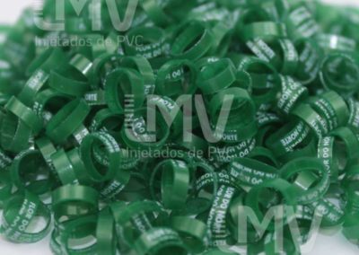 Flor do Norte Palheiros – Anilha Verde