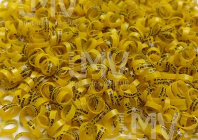 Menino da Porteira – Anilha Amarela