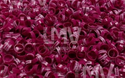 LMV - Anilhas de PVC - Cliente: Paulistinha Palheiros