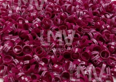 Paulistinha Palheiros – Anilha Vinho