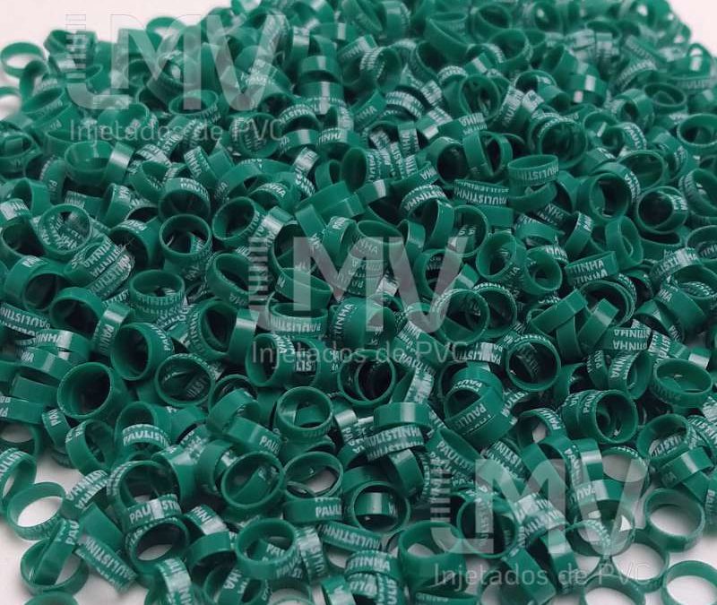 Paulistinha Palheiros – Anilha Verde