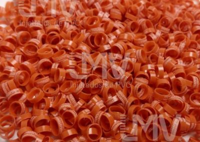 Paulistinha Palheiros – Anilha Laranja