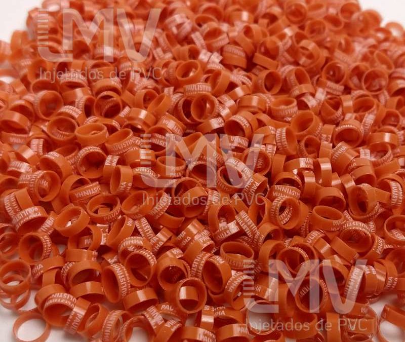 Paulistinha Palheiros – Anilha Laranja