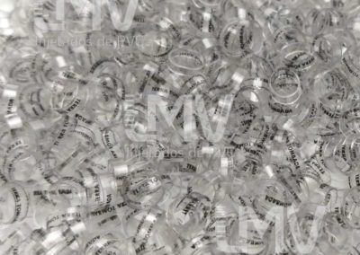 Terra Tombada Palheiros – Anilha