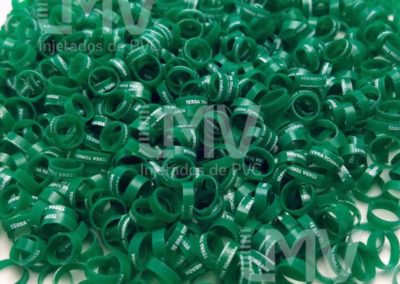 Terra Tombada Palheiros – Anilha Verde