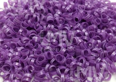 3 Lobos Palheiros – Anilha Roxa