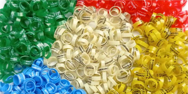 home_destaque-800x400px_13