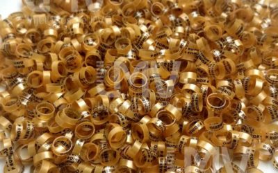 LMV - Anilhas de PVC - Cliente: Romério Paiol