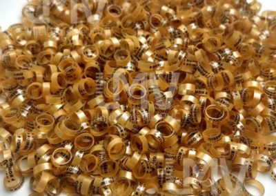 Romério Paiol – Anilha Dourada