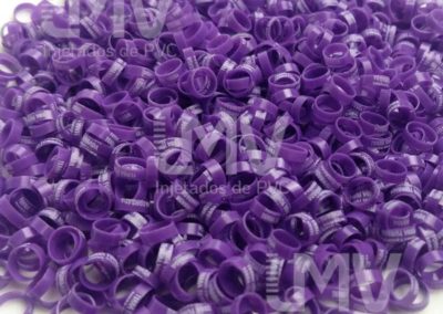 Terra Tombada Palheiros – Anilha Roxa