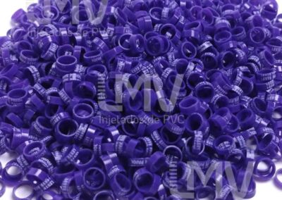 Leste Paiol – Anilha Roxa