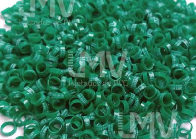 Leste Paiol – Anilha Verde