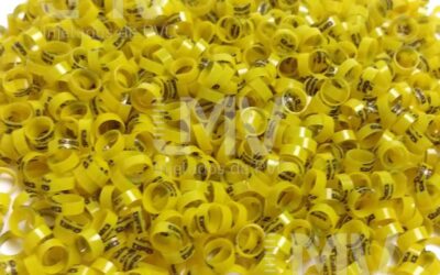 LMV - Anilhas de PVC - Cliente: Tipo