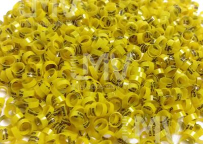 Tipo – Anilha Amarela