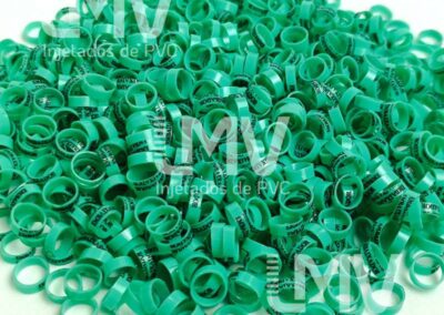 Embaixador – Anilha Verde