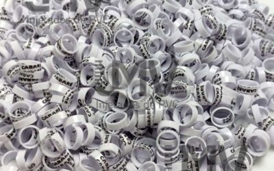 LMV - Anilhas de PVC - Cliente: Cabaré