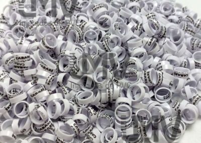 Cabaré – Anilha Branca