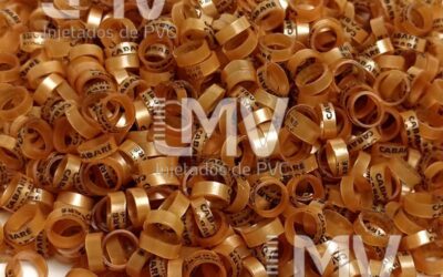 LMV - Anilhas de PVC - Cliente: Cabaré