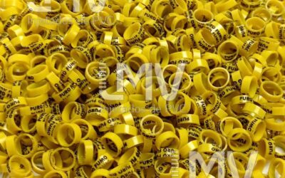 LMV Anilhas - Cliente: Puro Fumo