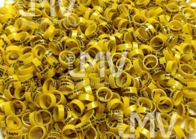 Puro Fumo – Anilha Amarela