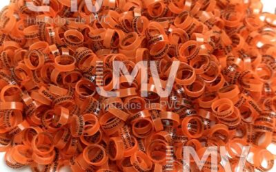 LMV Anilhas - Cliente: Boiadeiros