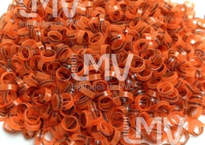 Boiadeiros – Anilha Neon