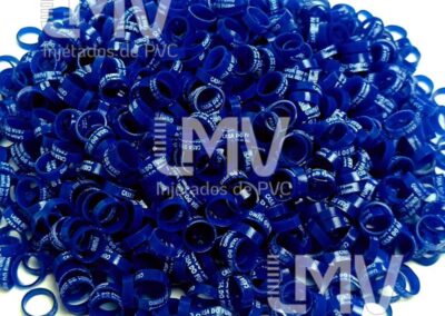 Casa do Fumo – Anilha Azul