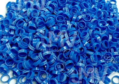 Caserão – Anilha Azul Clara