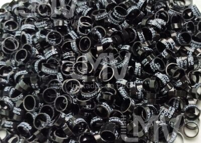 Caserão – Anilha Preta