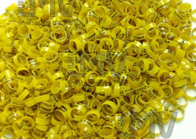 Zé da Viola – Anilha Amarela