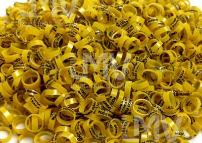 Poço Fundo – Anilha Amarela