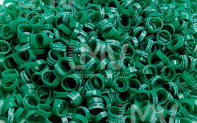 LMV - Anilhas de PVC - Cliente:Poço Fundo - Verde