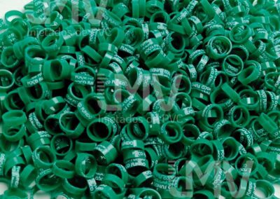 Poço Fundo – Anilha Verde