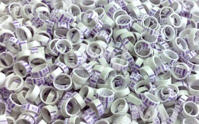 LMV - Anilhas de PVC - Cliente: 22 - Branca