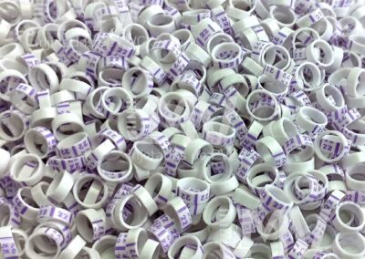 22 – Anilha Branca