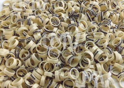 Gerardin – Anilha Bege