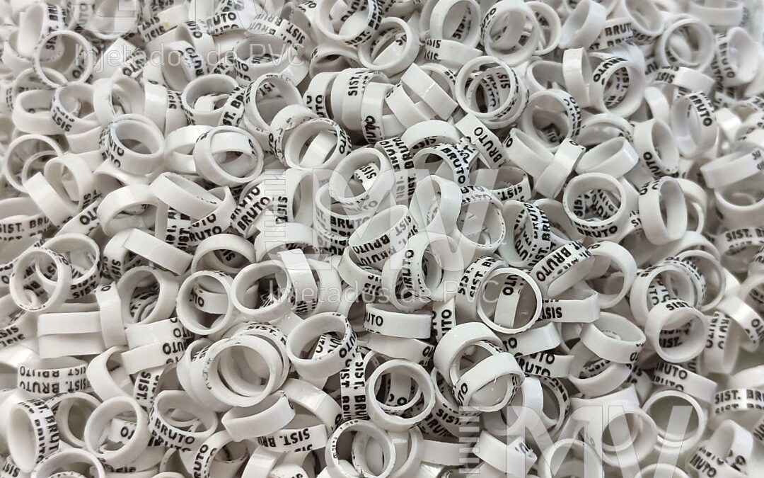 Sistema Bruto – Anilha Branca