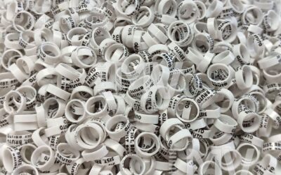 LMV - Anilhas de PVC - Cliente: Sistema Bruto - Branco