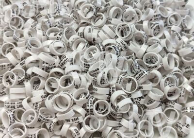 Sistema Bruto – Anilha Branca