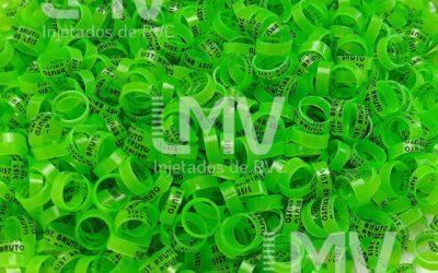 LMV - Anilhas de PVC - Cliente: Sistema Bruto - Verde Neon