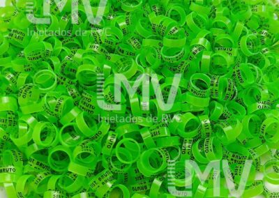 Sistema Bruto – Anilha Verde Neon