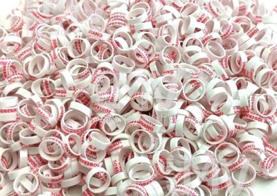 Soberano Palheiros – Anilha Branca