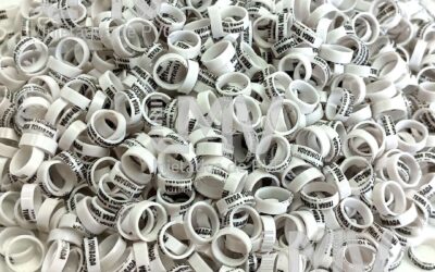 LMV - Anilhas de PVC - Cliente: Terra Tombada - Branco