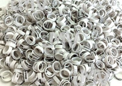 Terra Tombada Palheiros – Anilha Branca